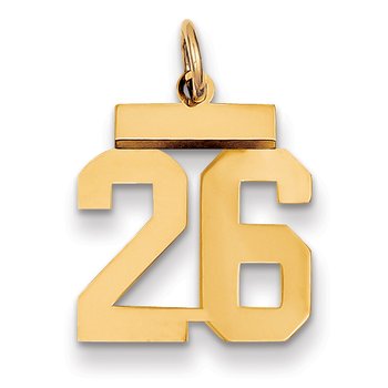 14k Small Polished Number 26 Charm