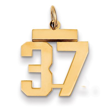 14k Small Polished Number 37 Charm