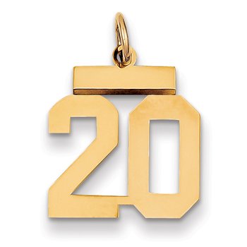 14k Small Polished Number 20 Charm