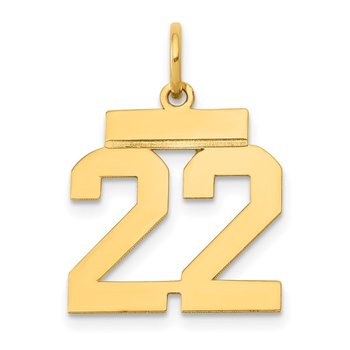 14k Small Polished Number 22 Charm