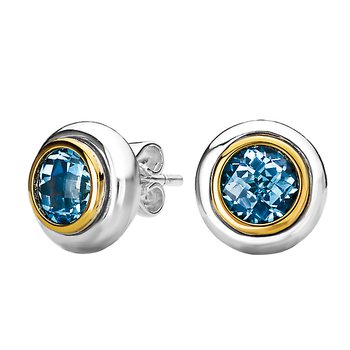 Ladies Fashion Two-Tone Earrings