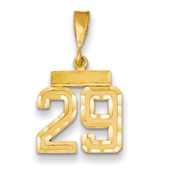 14k Small Brushed Diamond-cut Number 29 Charm
