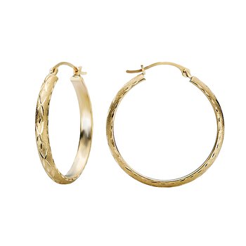 Ladies Fashion Hoop Earrings