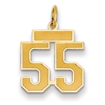 14k Small Satin Number 55 Charm