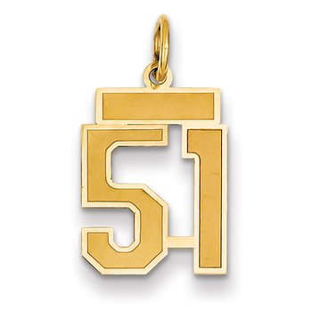 14k Small Satin Number 51 Charm