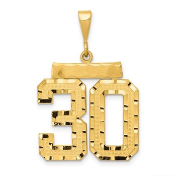 14k Large Brushed Diamond-cut Number 30 Charm