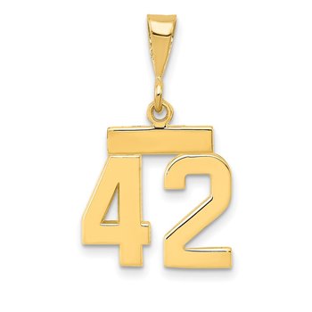 14k Small Polished Number 42 Charm