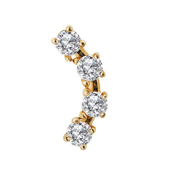 Cartilage Earring