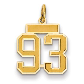 14k Small Satin Number 93 Charm