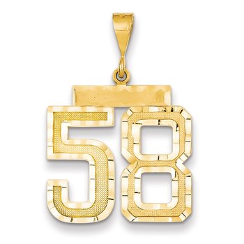 14k Large Brushed Diamond-cut Number 58 Charm