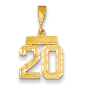 14k Small Brushed Diamond-cut Number 20 Charm