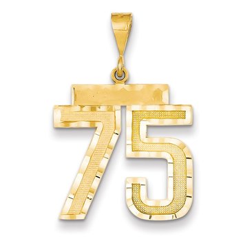 14k Large Brushed Diamond-cut Number 75 Charm