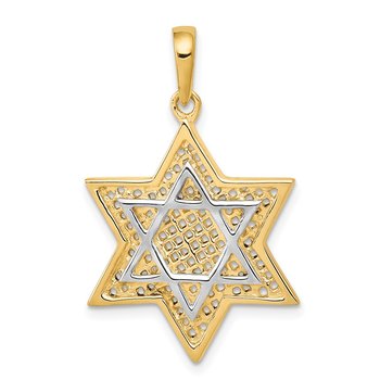 14K w/Rhodium Solid Mesh Star Of David Charm