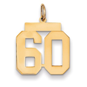 14k Medium Polished Number 60 Charm