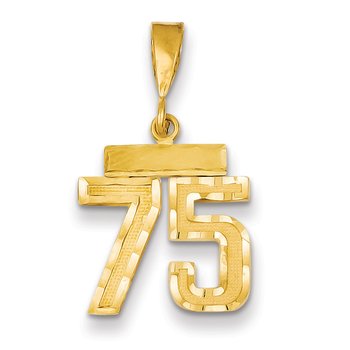 14k Small Brushed Diamond-cut Number 75 Charm