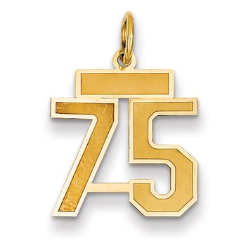 14k Small Satin Number 75 Charm