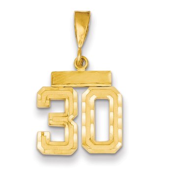 14k Small Brushed Diamond-cut Number 30 Charm