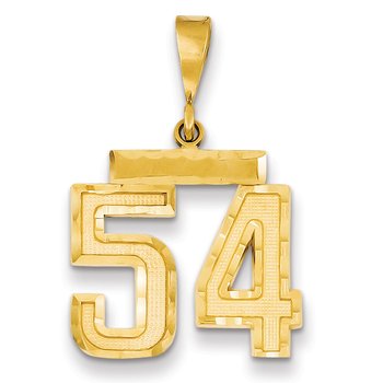 14k Medium Diamond-cut Number 54 Charm