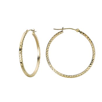 Ladies Fashion Hoop Earrings