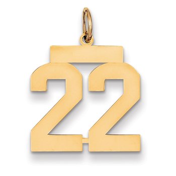 14k Medium Polished Number 22 Charm
