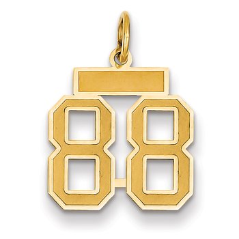 14k Small Satin Number 88 Charm