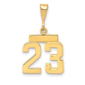 14k Small Polished Number 23 Charm