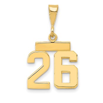 14k Small Polished Number 26 Charm