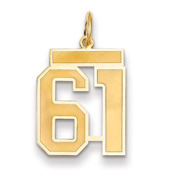 14k Medium Satin Number 61 Charm