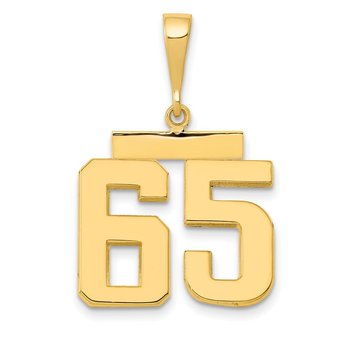 14k Medium Polished Number 65 Charm