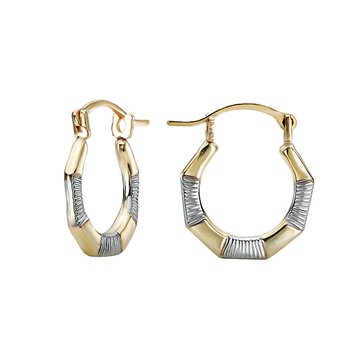 Ladies Fashion Hoop Earrings