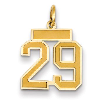 14k Small Satin Number 29 Charm