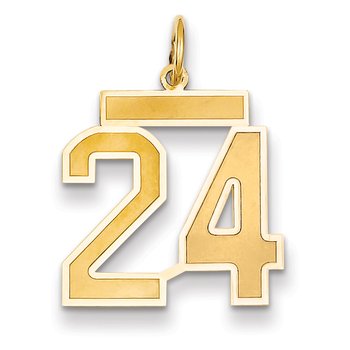 14k Medium Satin Number 24 Charm