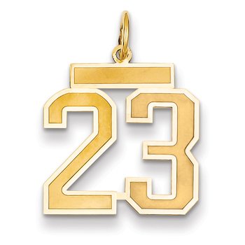 14k Medium Satin Number 23 Charm