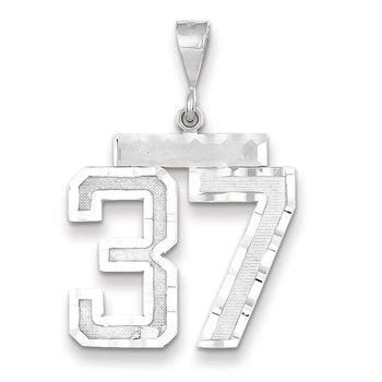 14kw Large Brushed Diamond-cut Number 37 Charm