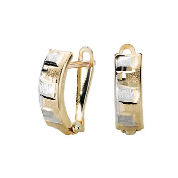 Ladies Fashion Hoop Earrings