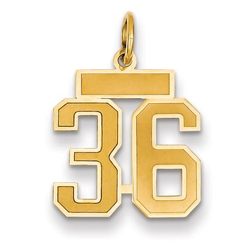 14k Small Satin Number 36 Charm