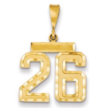 14k Medium Diamond-cut Number 26 Charm