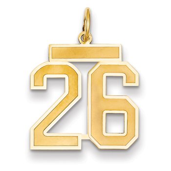 14k Medium Satin Number 26 Charm