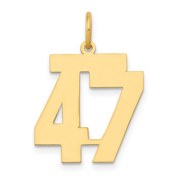 14k Medium Polished Number 47 Charm
