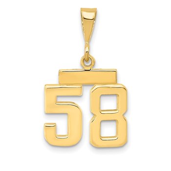 14k Small Polished Number 58 Charm