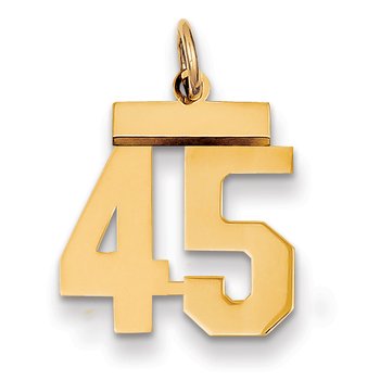 14k Small Polished Number 45 Charm