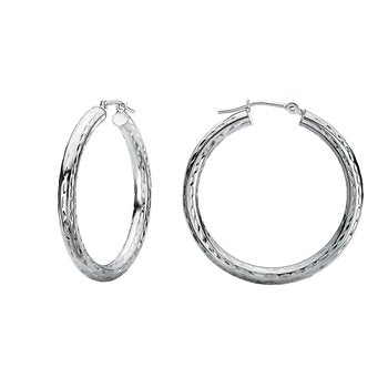 Ladies Fashion Hoop Earrings