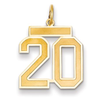 14k Medium Satin Number 20 Charm