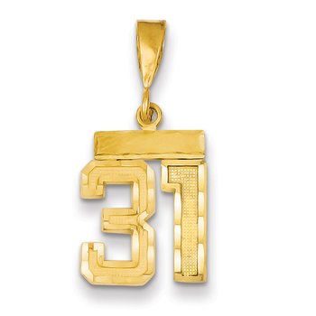 14k Small Brushed Diamond-cut Number 31 Charm