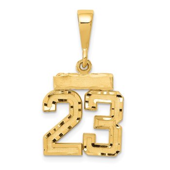14k Small Brushed Diamond-cut Number 23 Charm