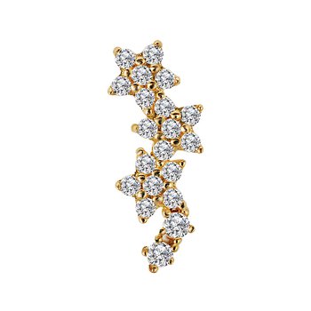 Cartilage Earring
