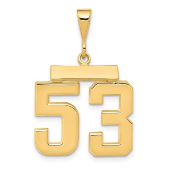 14k Medium Polished Number 53 Charm