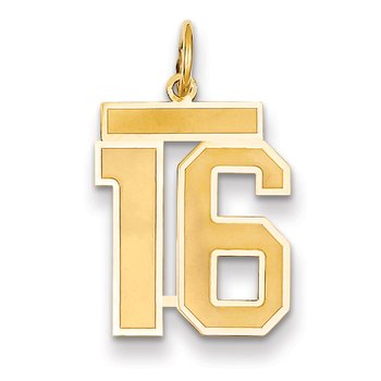 14k Medium Satin Number 16 Charm