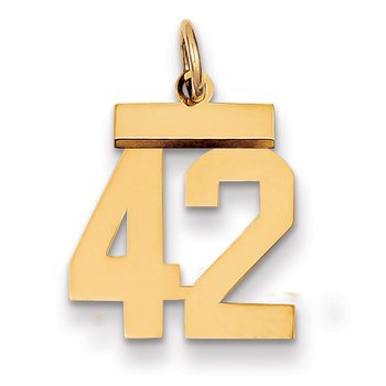 14k Small Polished Number 42 Charm
