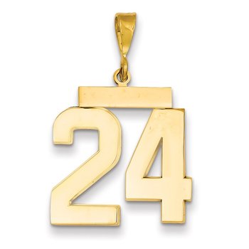 14k Large Polished Number 24 Charm